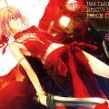 Fate zeo/staynight