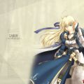 SABER001