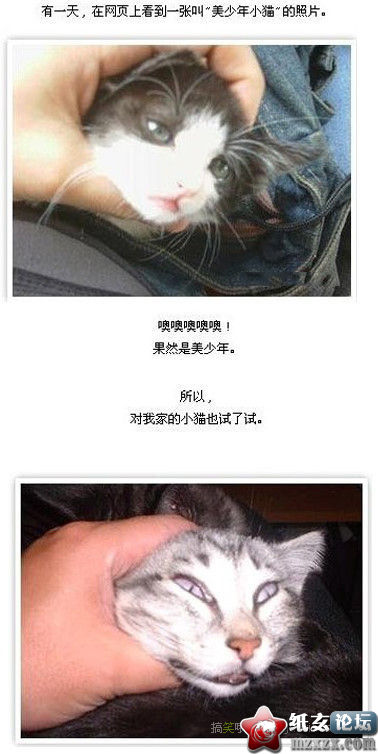 美少年小猫.jpg