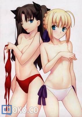 〖图集〗Type-Moon 10周年記念画集