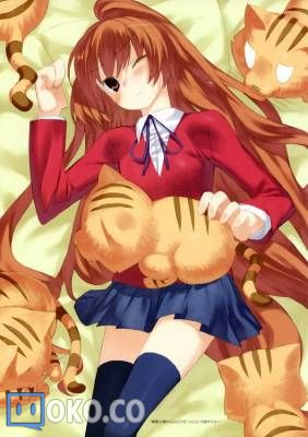 toradora_pictures_015.jpg