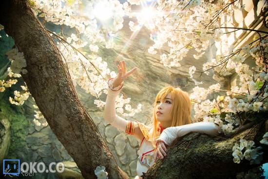 【度盘亲传】Asuna (SAO) Cosplay by Tomia