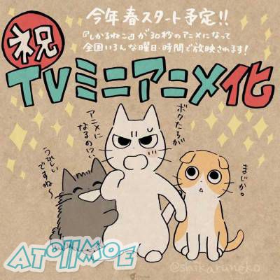 被傲娇猫猫训斥就是幸福～推特人气漫画《坏嘴猫猫》确定改编短篇动画！