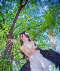 Albedo Cosplay(12P)