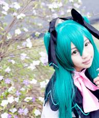 【贴图】MIKU（10P）