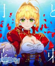 [180228]「Fate/EXTRA Last Encore」ED「月と花束」 [320K+BK]／さユり